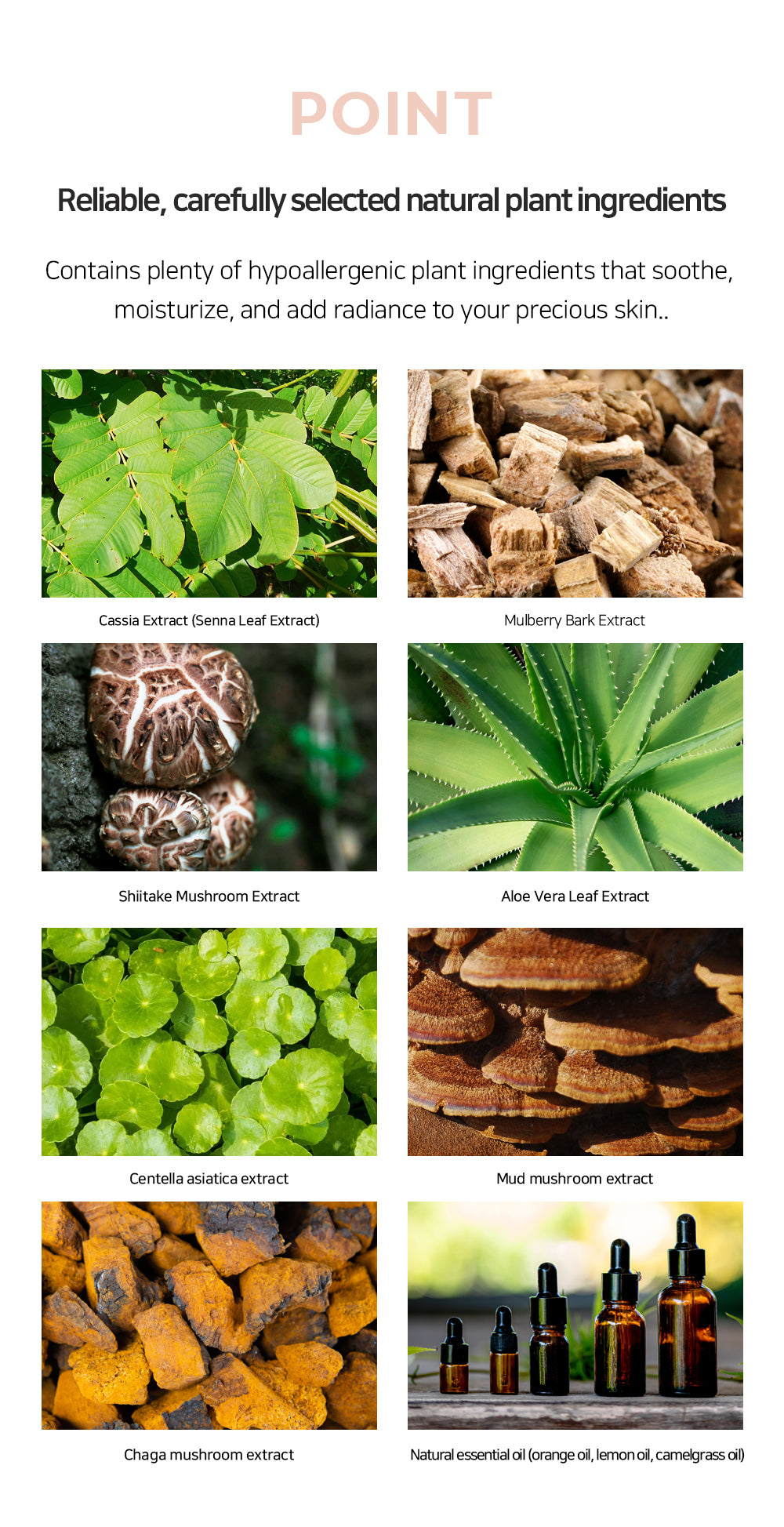 Safe Repair BB Cream 60ml